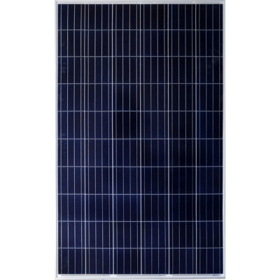 Panel Solar Amerisolar 340W Policristalino 72 células